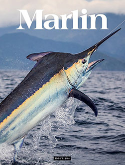 Marlin Cover Image